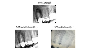 Jun 2025 through Jun 2026 - Endo mini-residency program